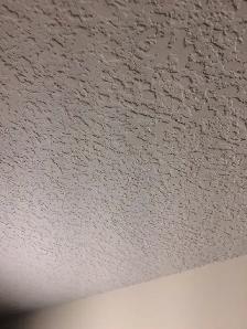 all for $1.0/SF Ceiling texturing, priming ceiling, wall poly pr - Photo 4