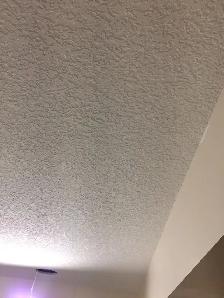 all for $1.0/SF Ceiling texturing, priming ceiling, wall poly pr - Photo 5