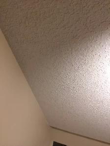 all for $1.0/SF Ceiling texturing, priming ceiling, wall poly pr - Photo 8