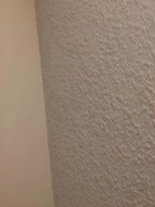all for $1.0/SF Ceiling texturing, priming ceiling, wall poly pr - Photo 9