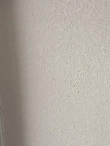 all for $1.0/SF Ceiling texturing, priming ceiling, wall poly pr - Photo 10