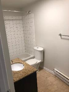 Renovated 2-Bdrm - Apartment - Great Central Location - Photo 4