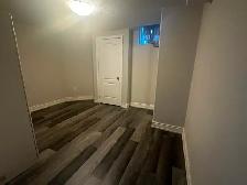 Basement for Rent - Photo 4