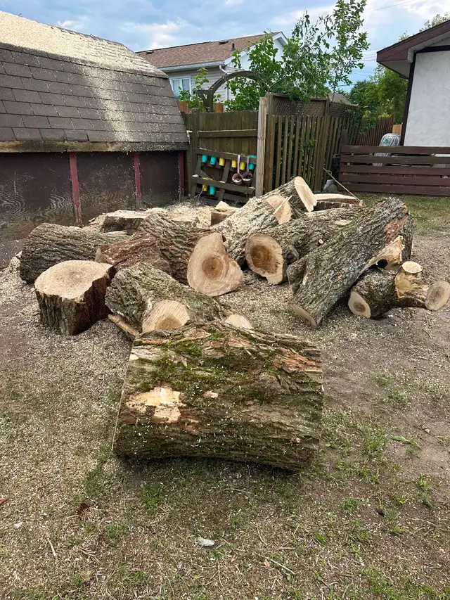 Firewood for sale