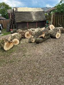 Firewood for sale - Photo 2