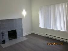 Bright 1 bedroom suite steps from High Park - Photo 4