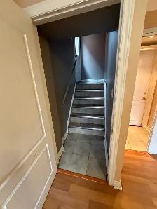 Basement for rent