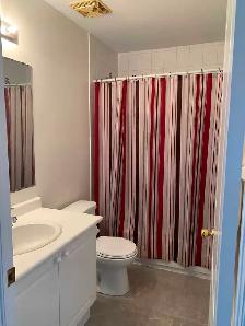 House/Room For Rent - Photo 2
