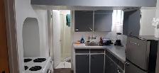 1 BR Bsmt Suite near UofA and Belgravia LRT August 1 - Photo 2