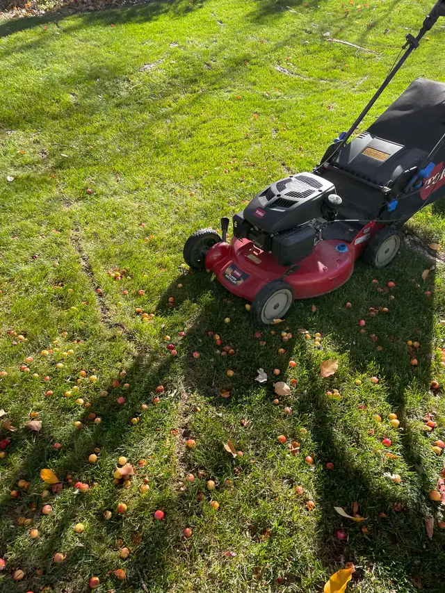 work tomorrow landscaping