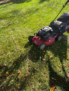 work tomorrow landscaping