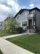 Basement Suite for Rent/ U of A Area