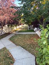 3 Bedroom, 2.5 Bath Townhouse in Terwillegar Towne - Photo 2