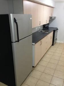 2 bedroom Basement for rent in Vaughan - Photo 2