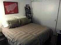 Downtown TO 1 bdrm&den CONDO, close to UofT,TMU, 75 St Nicholas - Photo 7