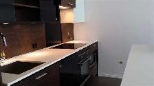 Downtown TO 1 bdrm&den CONDO, close to UofT,TMU, 75 St Nicholas - Photo 9