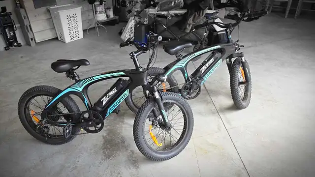 2 e bike used one summer