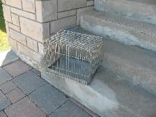 Small Metal Pet Crate