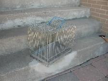 Small Metal Pet Crate - Photo 7