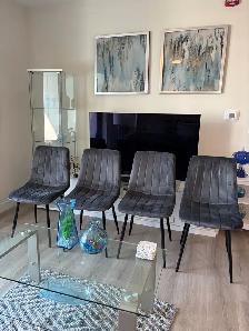Dining Chair Velvet
