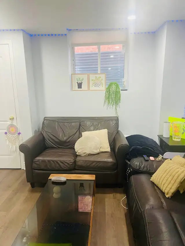 Furnished basement rent near Brampton Civic - Aug 01