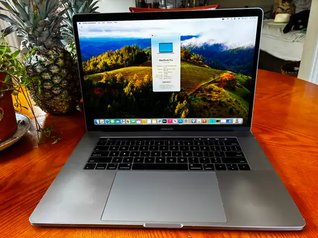 Apple MacBook Pro 15' BONUS SOFTWARE!