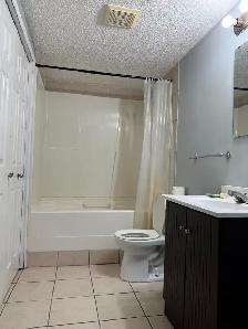 2 Bedroom Legal Basement Suite By Transit, Park and School NE - Photo 3