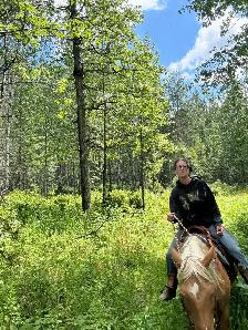 16 year old gelding - Photo 3