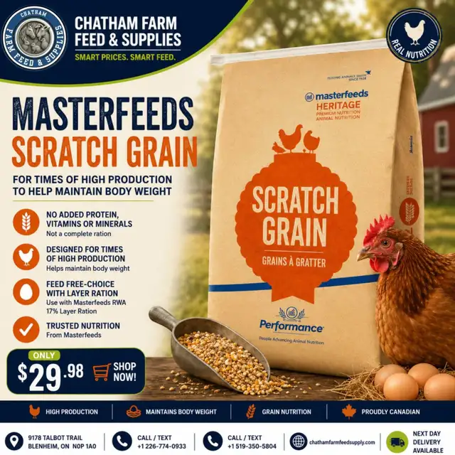 Scratch Grain- Chicken Treat 25kg