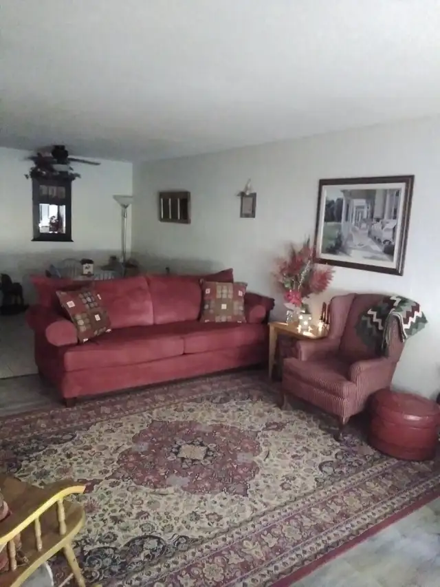 COUCH & CARPET FOR SALE