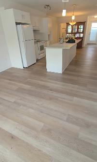 $1600 - 824 MALONEY EST - 2 Chambres/Rooms & 1 office - GATINEAU - Photo 2