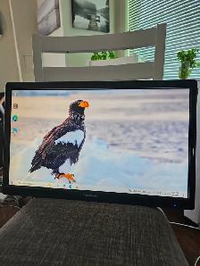 Viewsonic TD2420 monitor with Touch screen technology