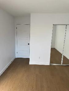 Longueuil grand et superbe 4 1/2 fraîchement rénové ensoleillé - Photo 2