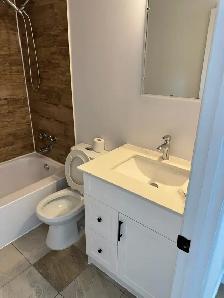 Longueuil grand et superbe 4 1/2 fraîchement rénové ensoleillé - Photo 7