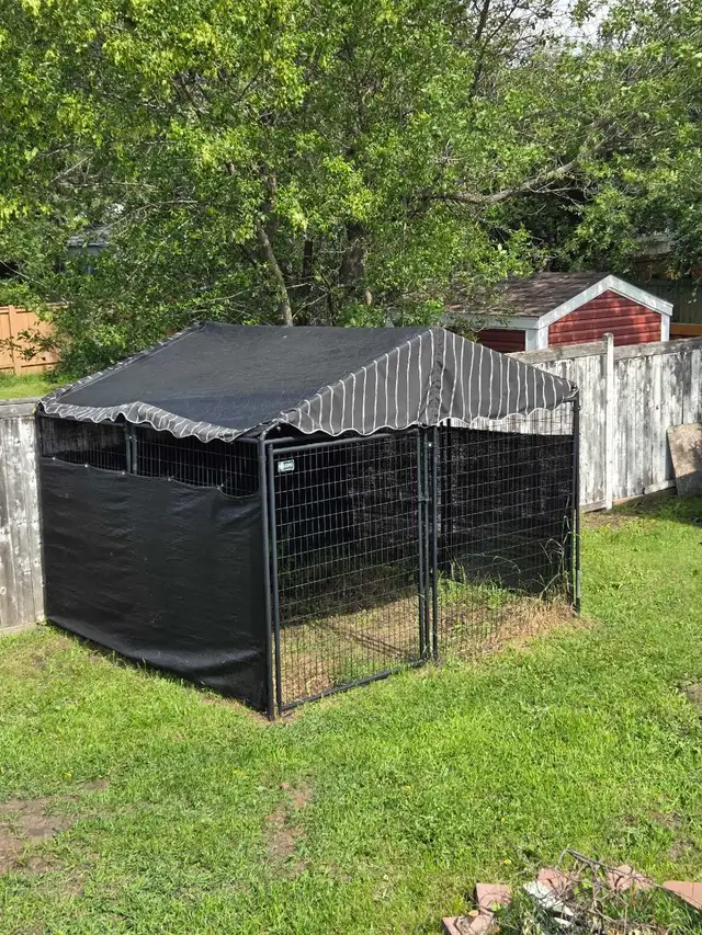 Outside Dogcage
