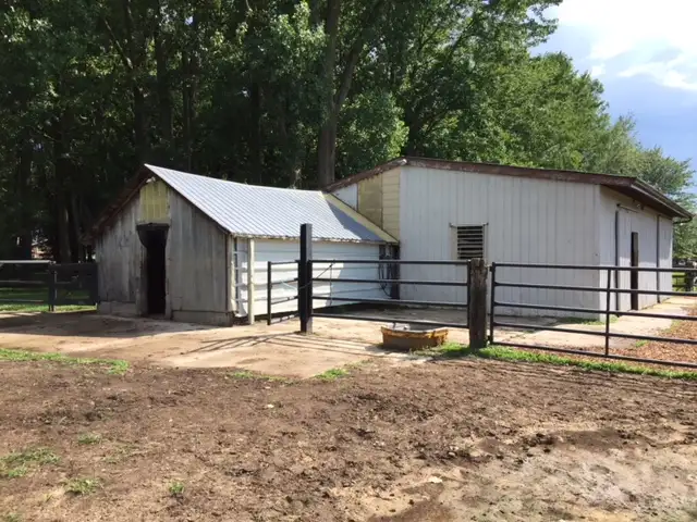 Horse Boarding in Rodney
