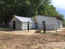 Horse Boarding in Rodney