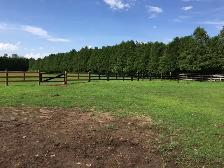 Horse Boarding in Rodney - Photo 4