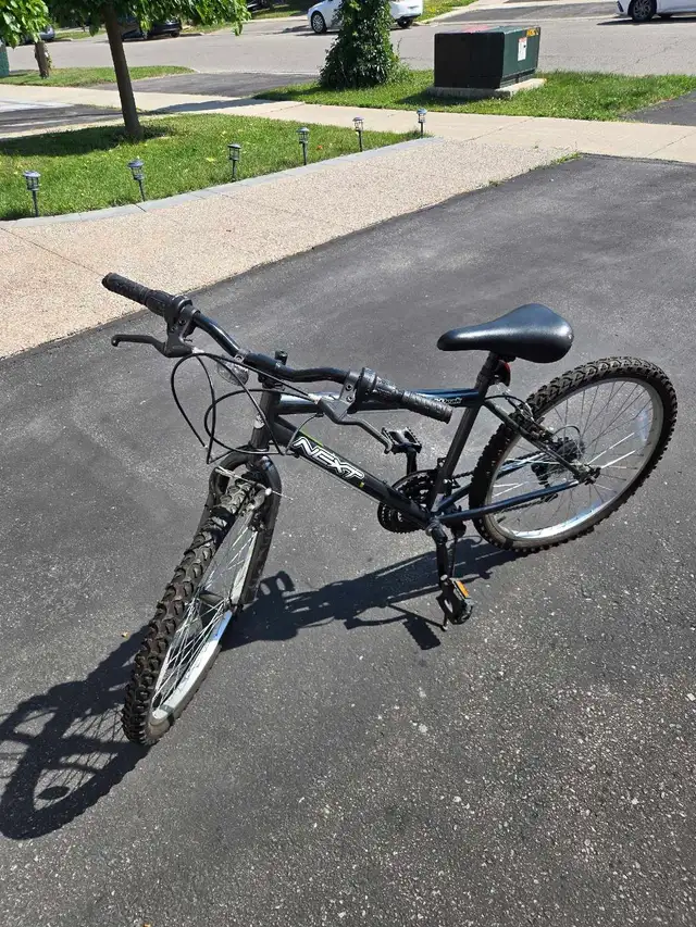 Next High peak 24 Inch Boys Bike
