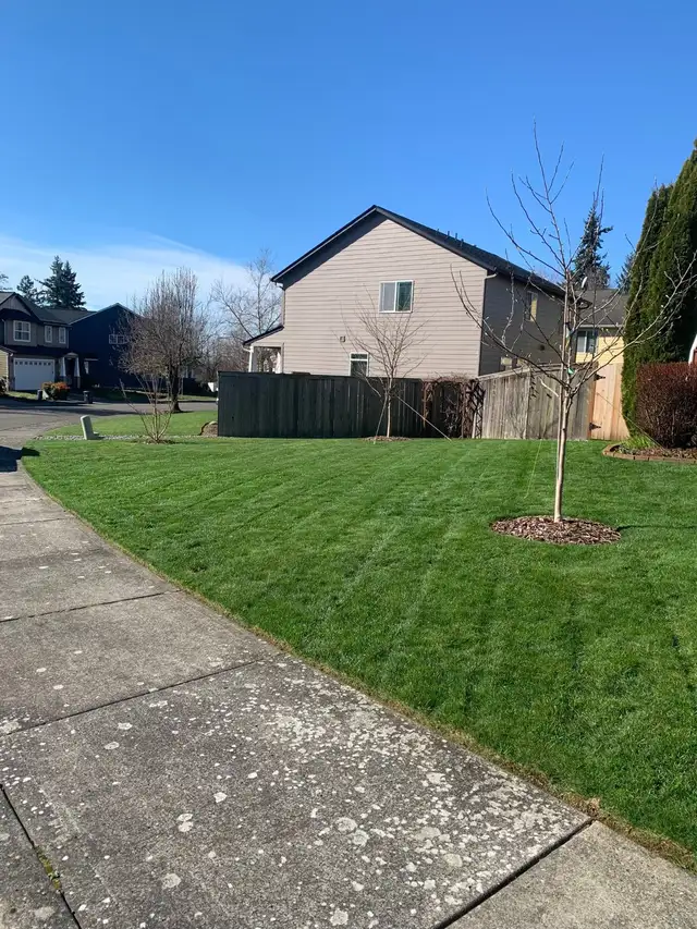 Cheap Lawn Mowing Services