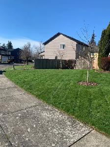 Cheap Lawn Mowing Services
