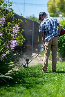 Cheap Lawn Mowing Services - Photo 2
