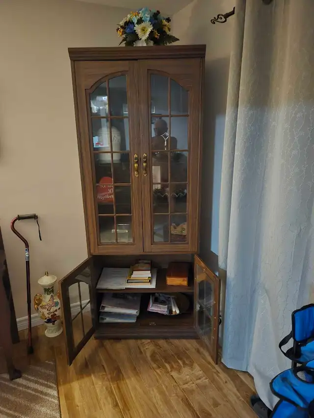 Tall Cabinet, Antique Mirror & Bench , Robotic Vaccum.