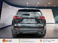 2020 Lexus NX NX 300 AWD LEATHER SEATS REMOTE START LANE ASSIST - Photo 4