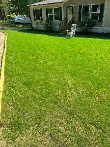 Lawn Mowing Edmonton LOW RATES !! - Photo 2