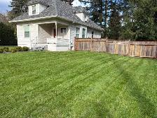 Lawn Mowing Edmonton LOW RATES !! - Photo 4