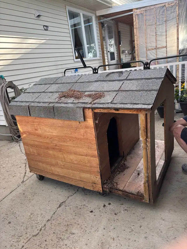 Doghouse for sale