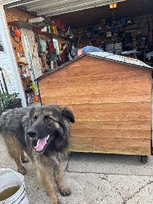 Doghouse for sale - Photo 3
