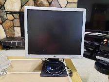 HP 19inch LCD Monitor