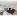 3 bedroom 2.5 bath whole house Alderside RD Port Moody - Photo 4